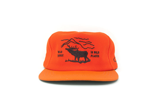 Ampal Creative - Strapback Wild Places Safery Orange